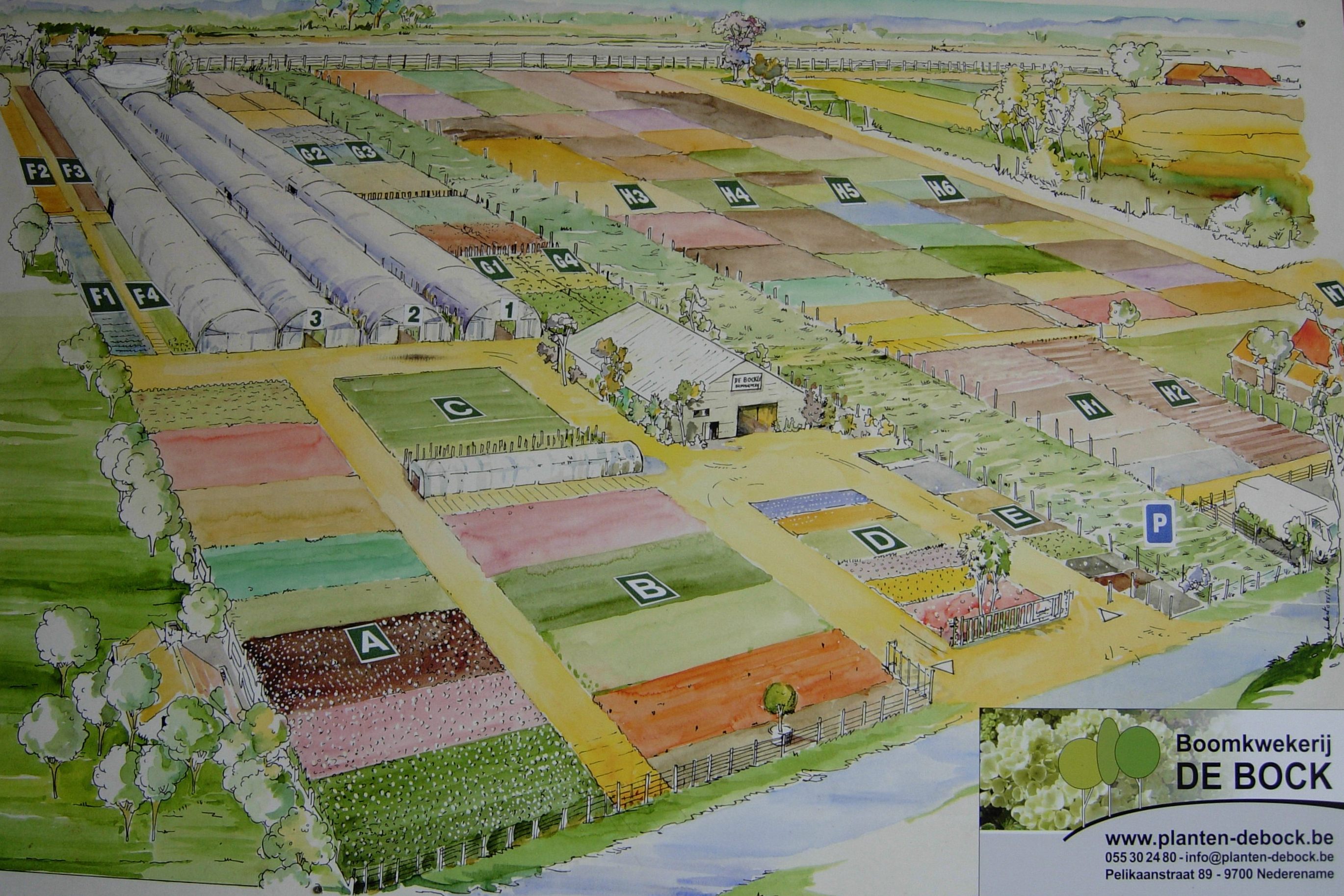 De kwekerij schematisch voorgesteld.  Via de locatiebeschrijving in onze cataloog zijn alle beschikbare planten vlot terug te vinden.